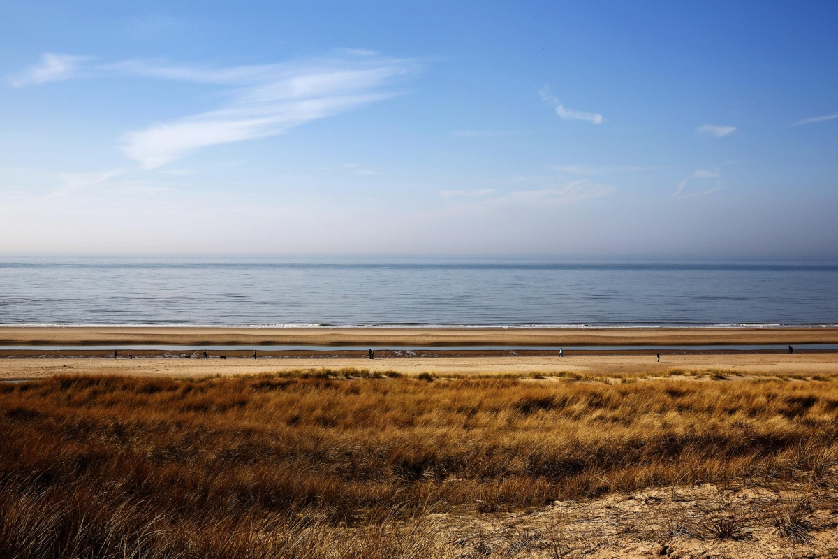 Strand vanaf duinen Bergen